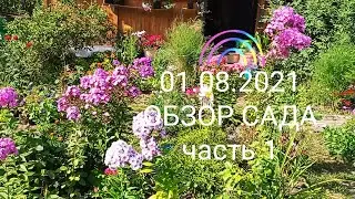 #Обзор сада на 01.08.2021 часть 1.