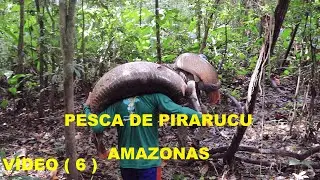 Community SÃO FRANCISCO DA MANGUEIRA - AMAZONAS - Video ( 6 )