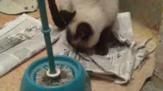 12082012079