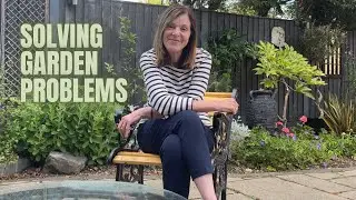 🌟SUMMER IS HERE🌟 Wonderful Weekend Fixing Garden Problems🌟