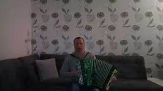 игра на баяне. 