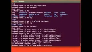How to use the Linux Command-Line Interface (CLI) 2