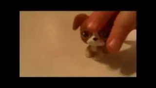 My new christmas littlestpetshop
