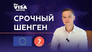 Шенгенская виза  в ОАЭ | Процесс подачи и получения Шенгена в Дубае и Абу-Даби за 7 дней