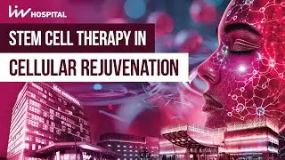 Stem Cell Therapy in Cellular Rejuvenation I Liv Hospital