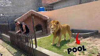 Liger K Ghr Main Pool Bhi Bnwa Liya😍Ab Aiy Ga Na Mza❤️