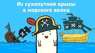 Как ПИРАТЫ ТЮНИНГОВАЛИ КОРАБЛИ? | Научпоп, Анимация
