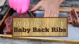 Baby Back Ribs