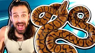 Come Stanno i Miei Animali? - Mattinate con Michele