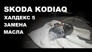 Шкода кодиак замена масла в муфте халдекс пятого поколения.  Skoda Kodiaq haldex 5