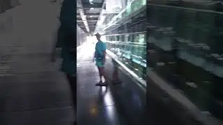 Офисы  встроенные в здание музея. Франция Марсель.