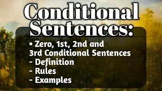 English Conditional Sentences with Examples | Seeker