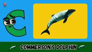 A to Z Dolphin ABC Song 🐬🌊 | Fun Phonics & Alphabet Learning for Kids | UZR Kids #abcd #kids