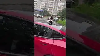 Киски выбирают Tesla