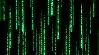 Matrix Code Rain Animation | Green Digital Falling Text Stock Footage in 4K 