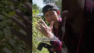 Kesalahan fotografer makro pemula #1 