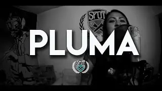 EL SPOT // PLUMA