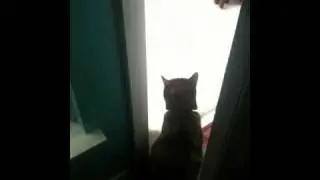 Juptier