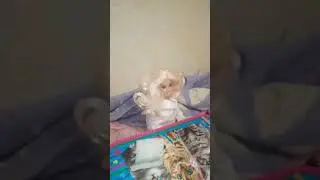 2 часть