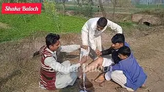 Number daar new funny style