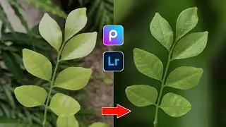 Instagram Viral Photography Editing In Mobile | PicsArt | Lightroom | Skystene Productions