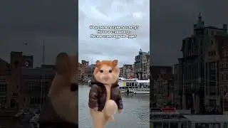 Коротко о голландском лете 