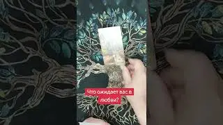 23 августа 2024 г.
