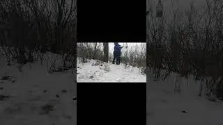 Воспитнание любви к животным и птицам🙏❤️