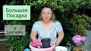 Большая Посадка и Болталка!