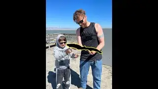 San Francisco Bay Sharks & More Species!