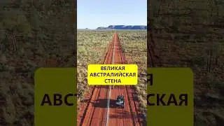 Защита от кроликов. Великая австралийская стена 