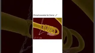 #genes