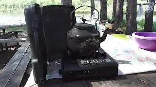 Здесь рыбы нет