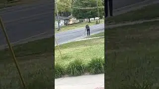 what do we think she is doing?