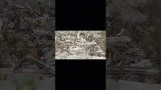 спойлер на новое видео!