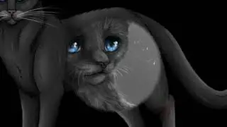 Warriors cats/пепелица~ эти роли не для нас\Коты воители
