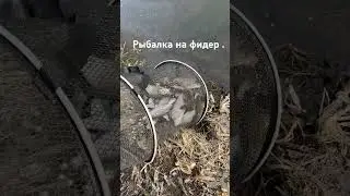 #рыбалка рыбалка на реке