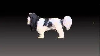 Gizmo 3d Preview