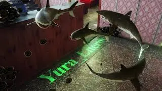Shark and balls animation in Cinema 4D, after effects, pftrack, octane render