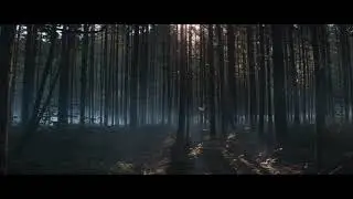 Свинья — трейлер (2021) драма, триллер Великобритания
