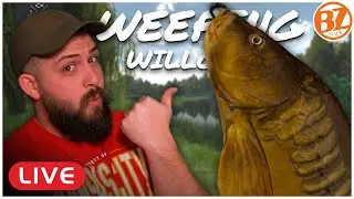 ON THE SEARCH, the 100lb UNIQUE CARP! Weeping WIllows l Fishing Planet [LIVE]
