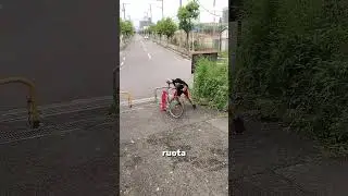 This Bike Can Reach 100 km/h