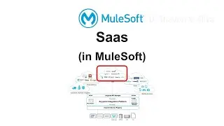 Saas (in MuleSoft)
