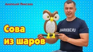 Сова из шаров для моделирования