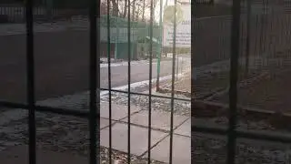 #подписывайтесь
