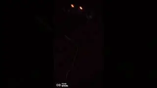 краткий обзор как вскипятить воду в чайнике