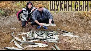 Щука пулемётчица. Осенняя охота за Щукой на спиннинг.