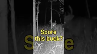 What's your guess? #Deer #deerhunting #scorethisbuck