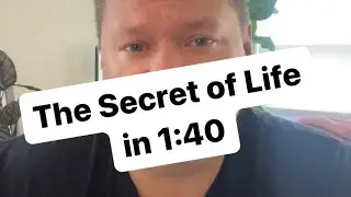The Secret of Life in 1:40: Mundane Miracles