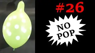 Blown to max pink polka dots balloon with neck (NO POP) #26